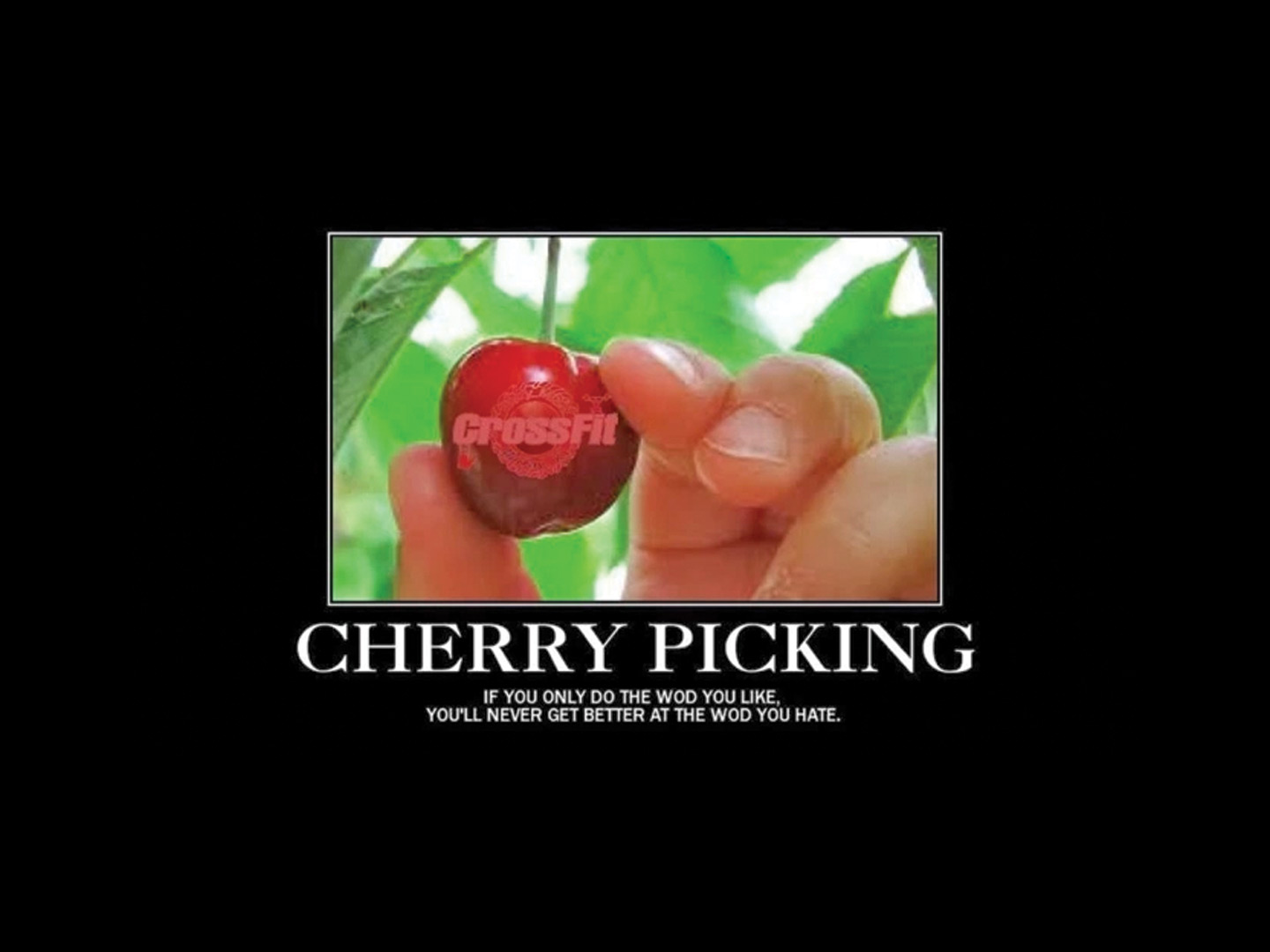 Repost – Cherry Pickers